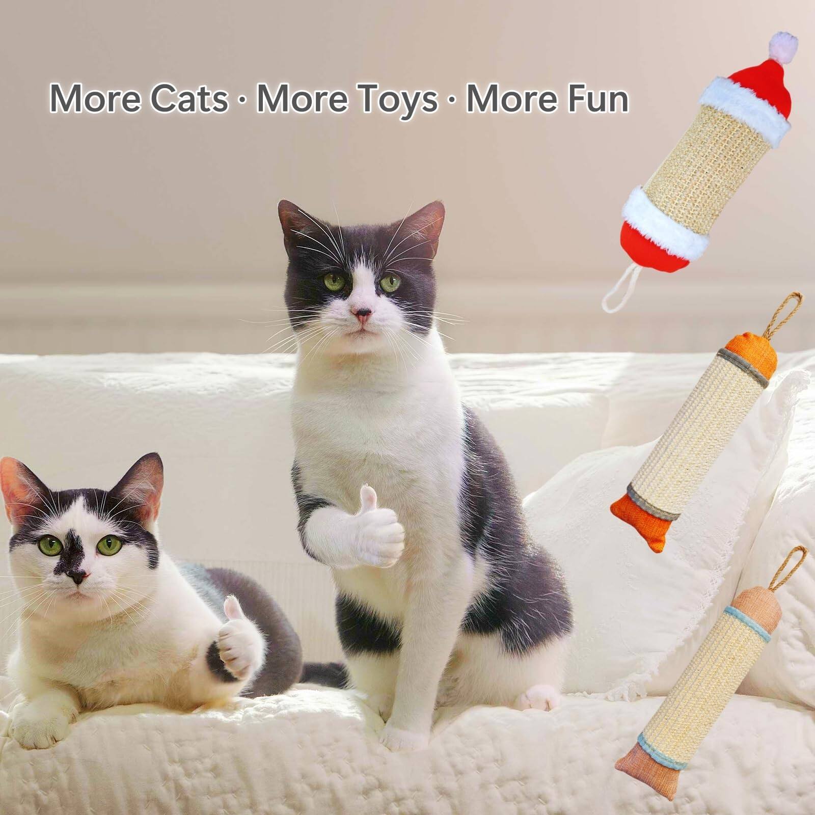 More Cats • More Toys • More Fun