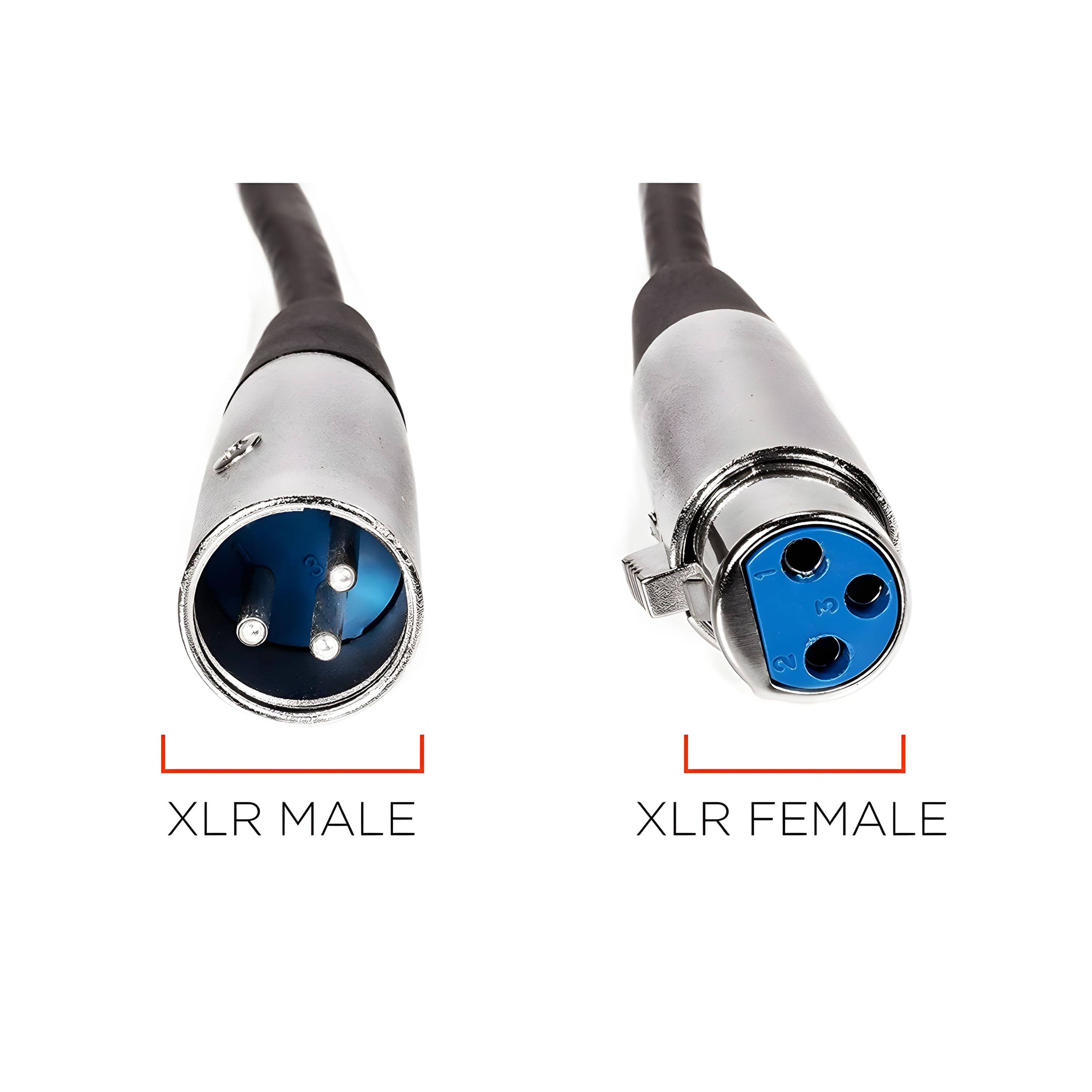 XLR MALE  
XLR FEMALE