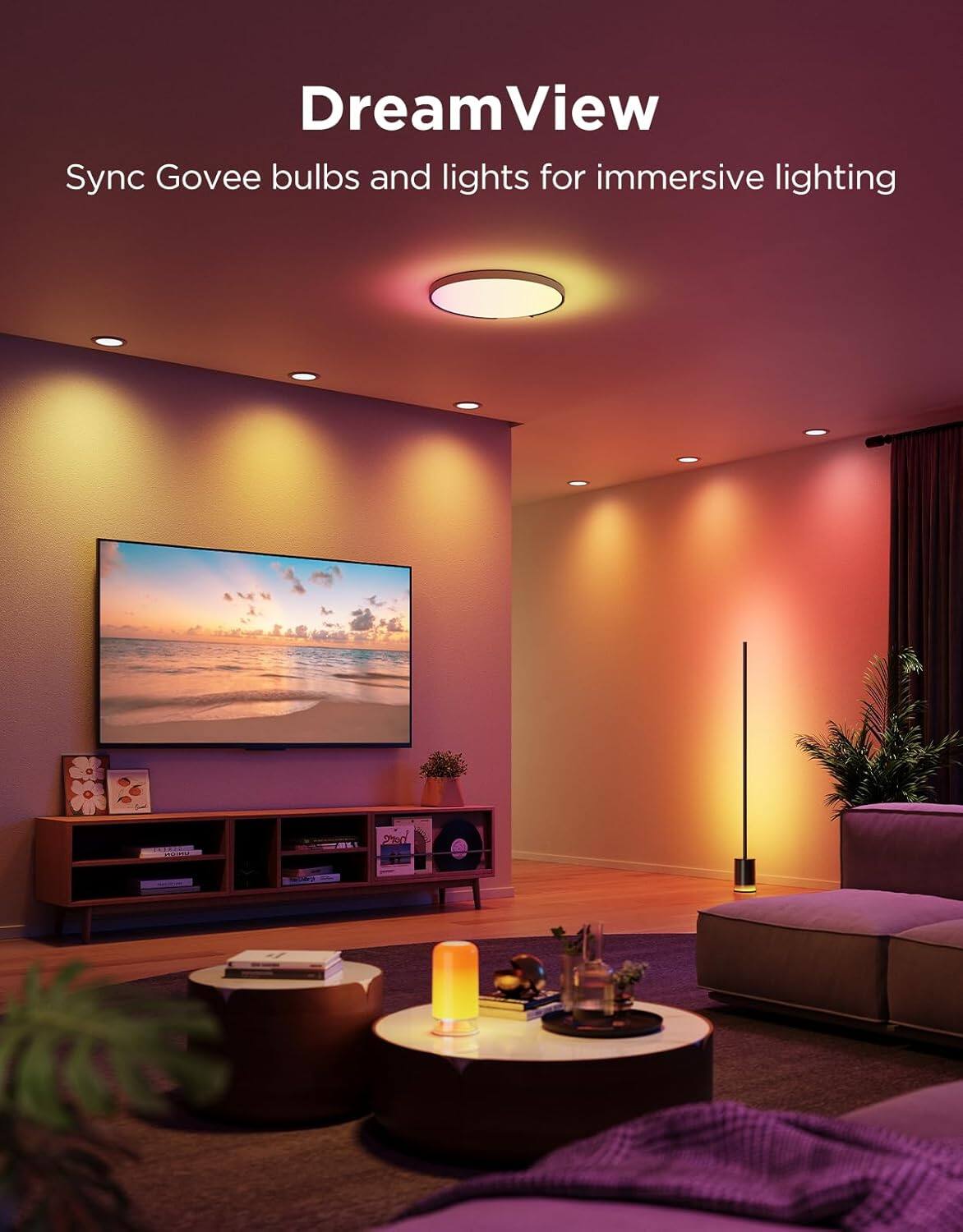 DreamView  
Sync Govee bulbs and lights for immersive lighting