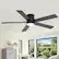 Left. Breezary - 42"/52" Flush Mount Low Profile Ceiling Fan with LED Light, 5 Blades, DC Motor, Remote Control and Timer, for Indoor Use - Black-52 in.