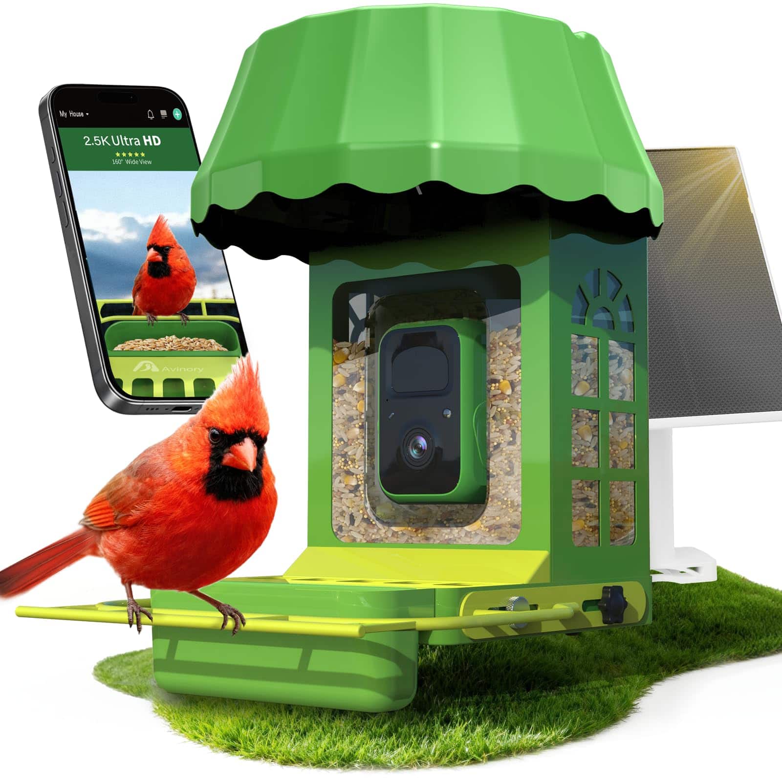Avinory - Smart Bird Feeder with 2.5K HD Camera, Solar Powered AI Bird ID, Wi-Fi, Night Vision, 32GB Card - Green