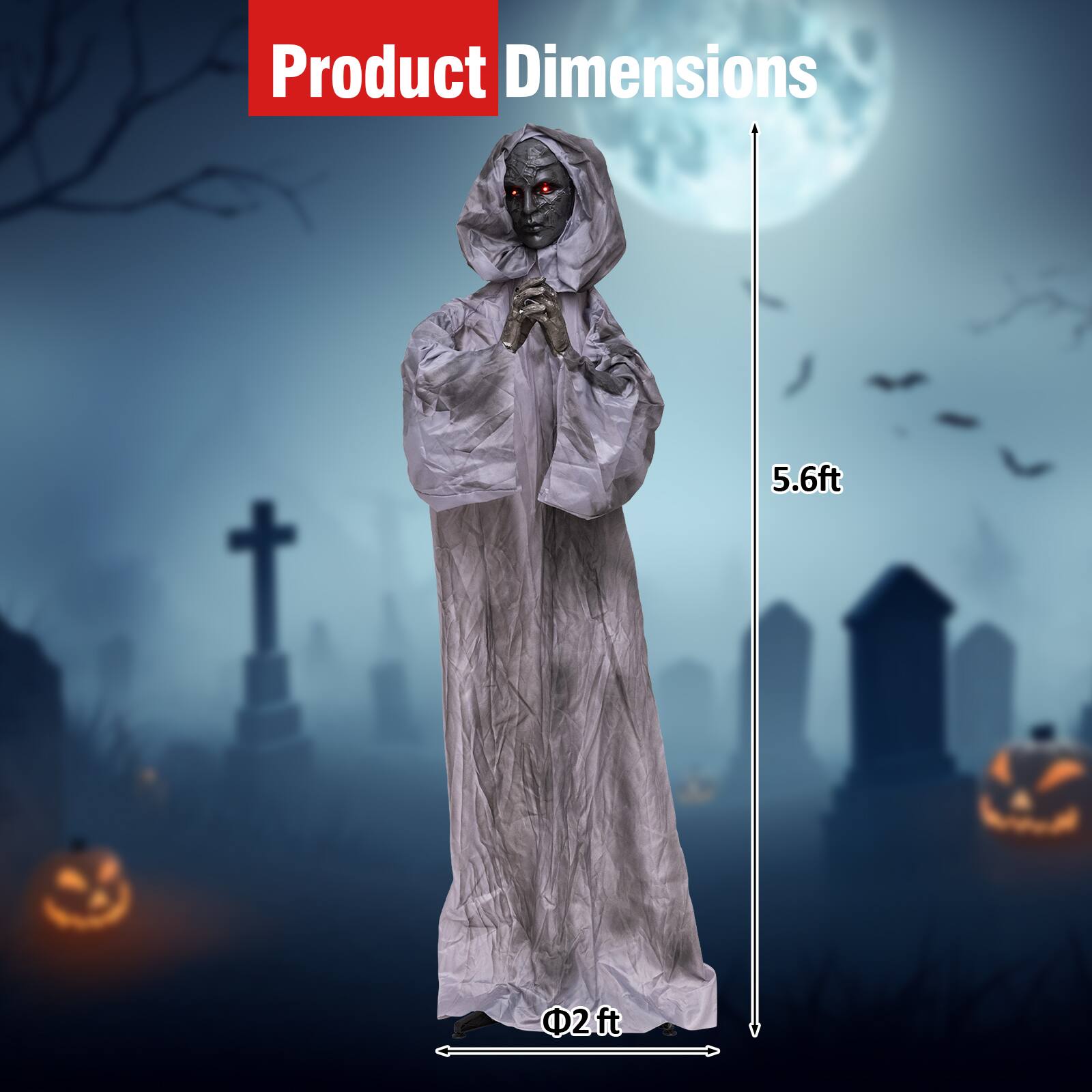 Product Dimensions
5.6ft
2ft