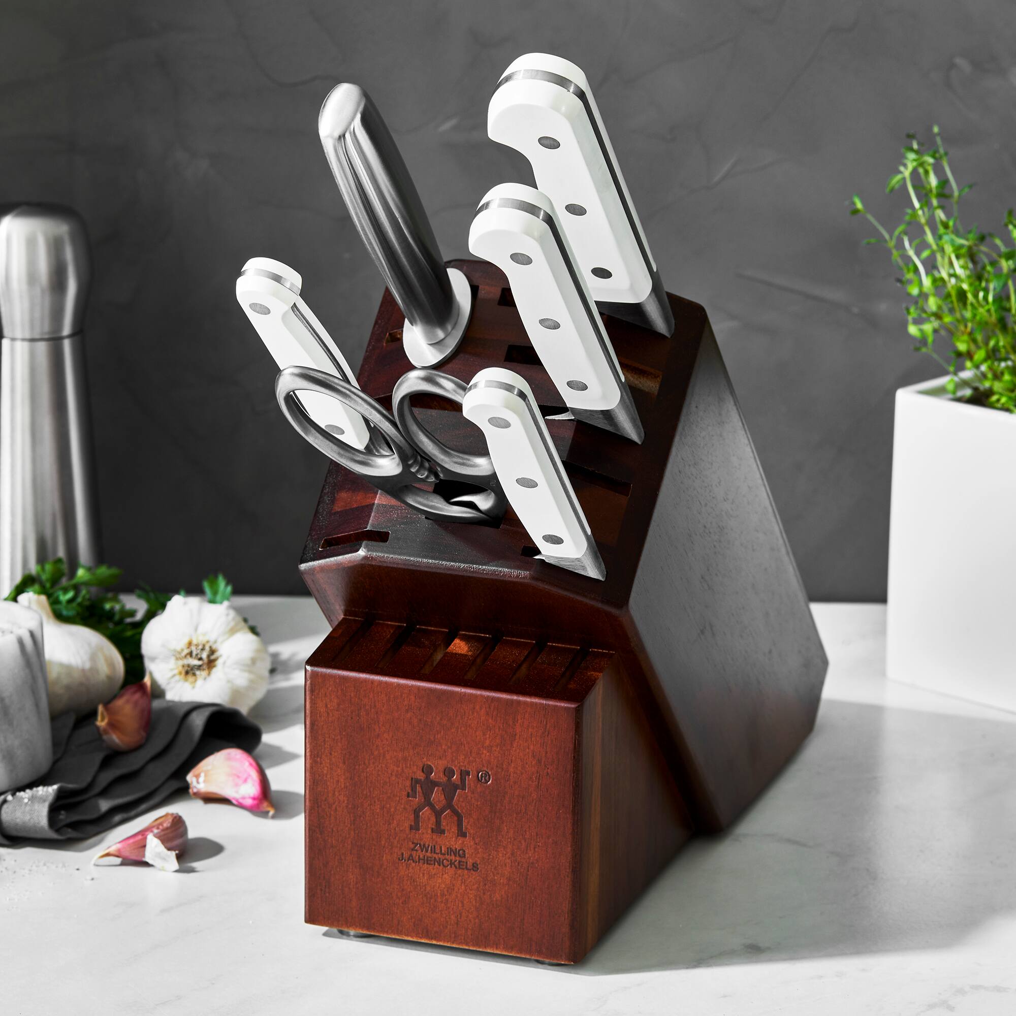 10 ZWILLING J.A. HENCKELS
