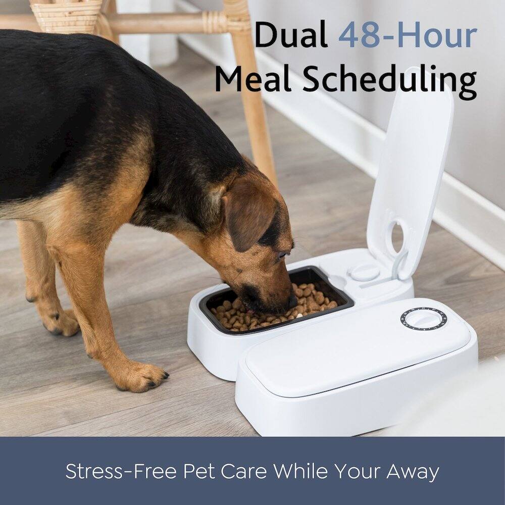 Dual 48-Hour Meal Scheduling  
Stress-Free Pet Care While You're Away