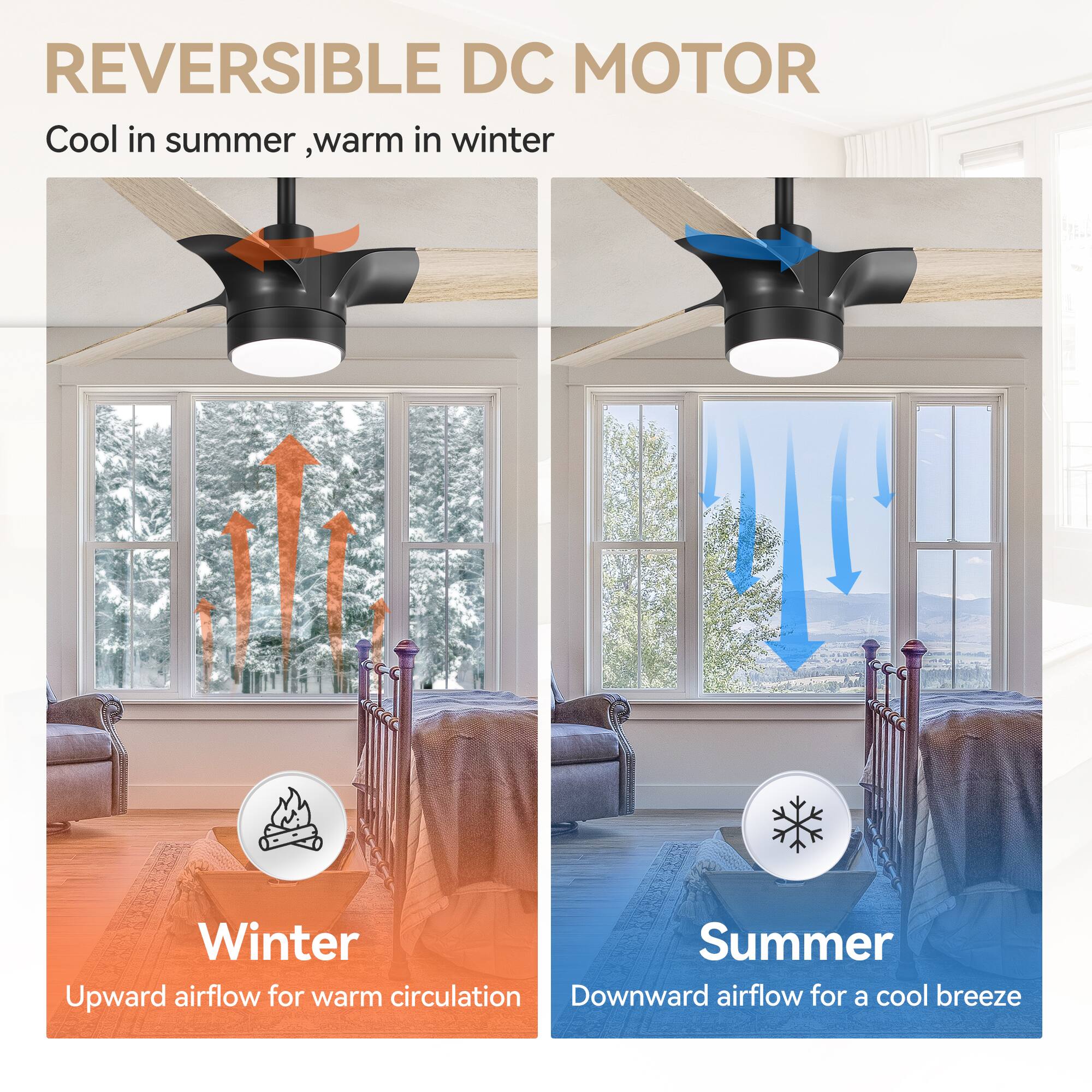 REVERSIBLE DC MOTOR  
Cool in summer, warm in winter  

Winter  
Upward airflow for warm circulation  

Summer  
Downward airflow for a cool breeze