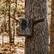 Back. Browning - Browning Trail Camera - Dark Ops FHDR 40MP.