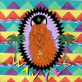 Wavves - King of the Beach - VINYL LP