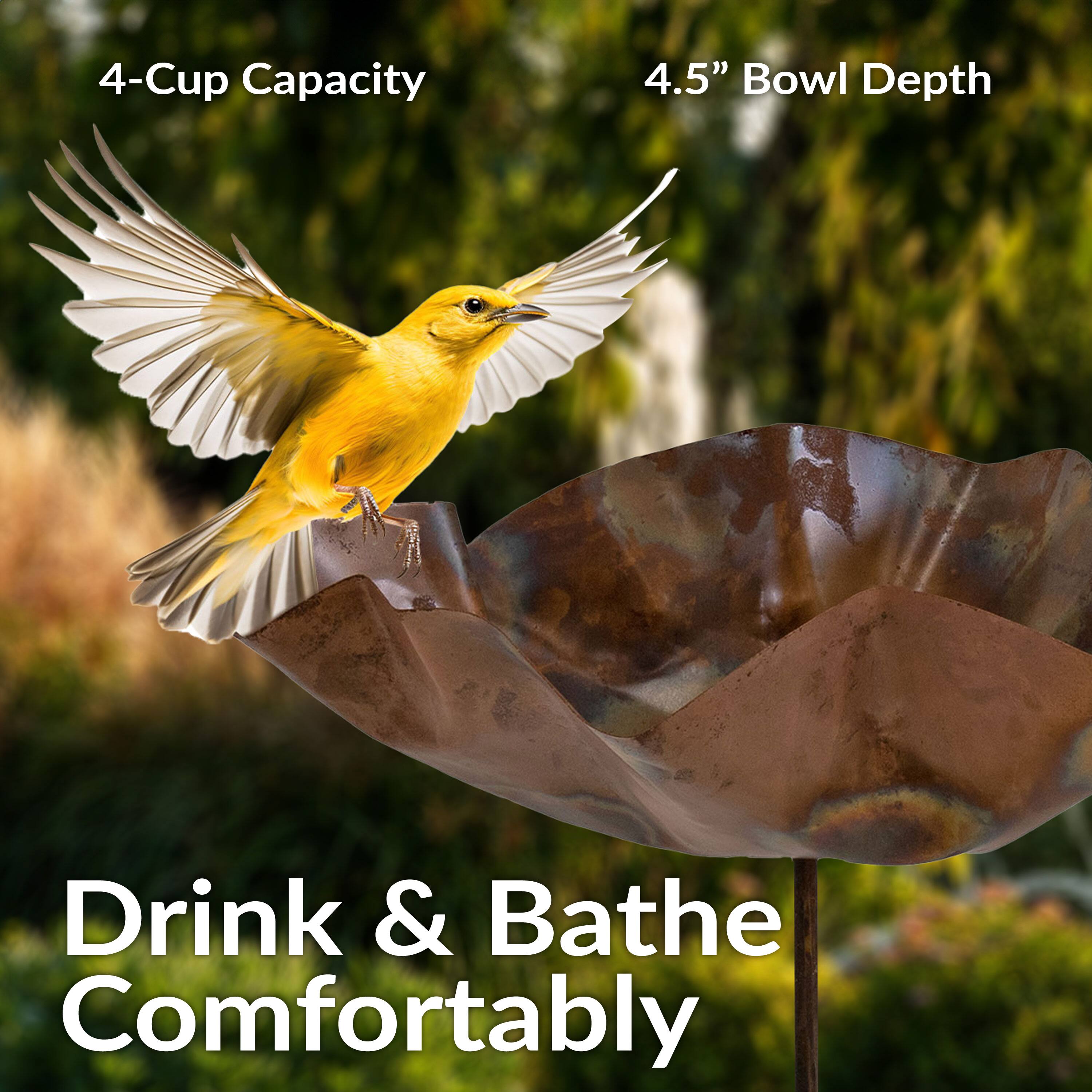 4-Cup Capacity  
4.5" Bowl Depth  

Drink & Bathe Comfortably