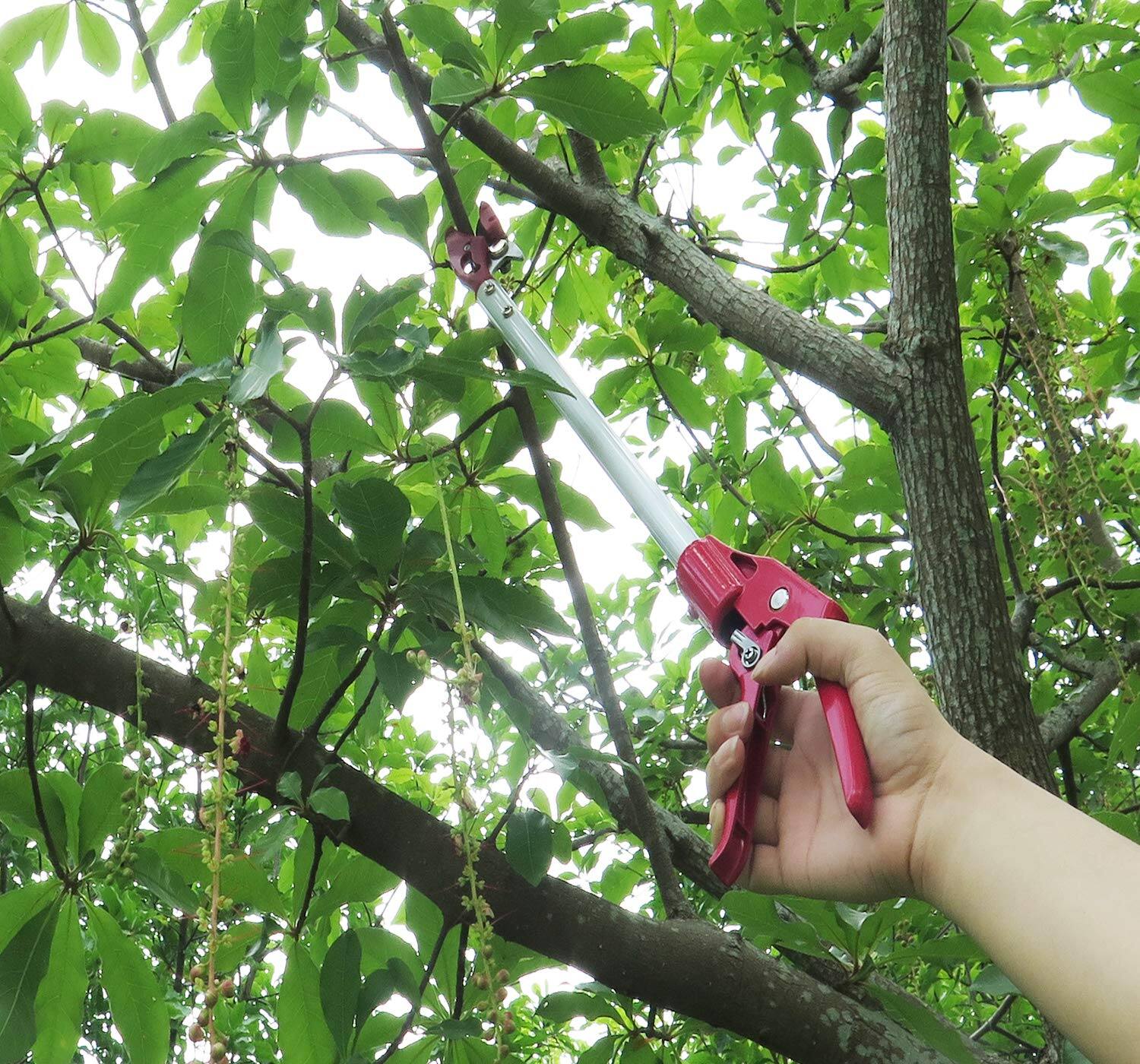 Alt View 3. JETRANSPORT - 2 Feet Cut And Hold Tree Pruner  Rotation Pole Trimming Short Reach Fruit Picker Branches Bypass Lopper Premiu - 4 Feet Cut and Hold Pruner.