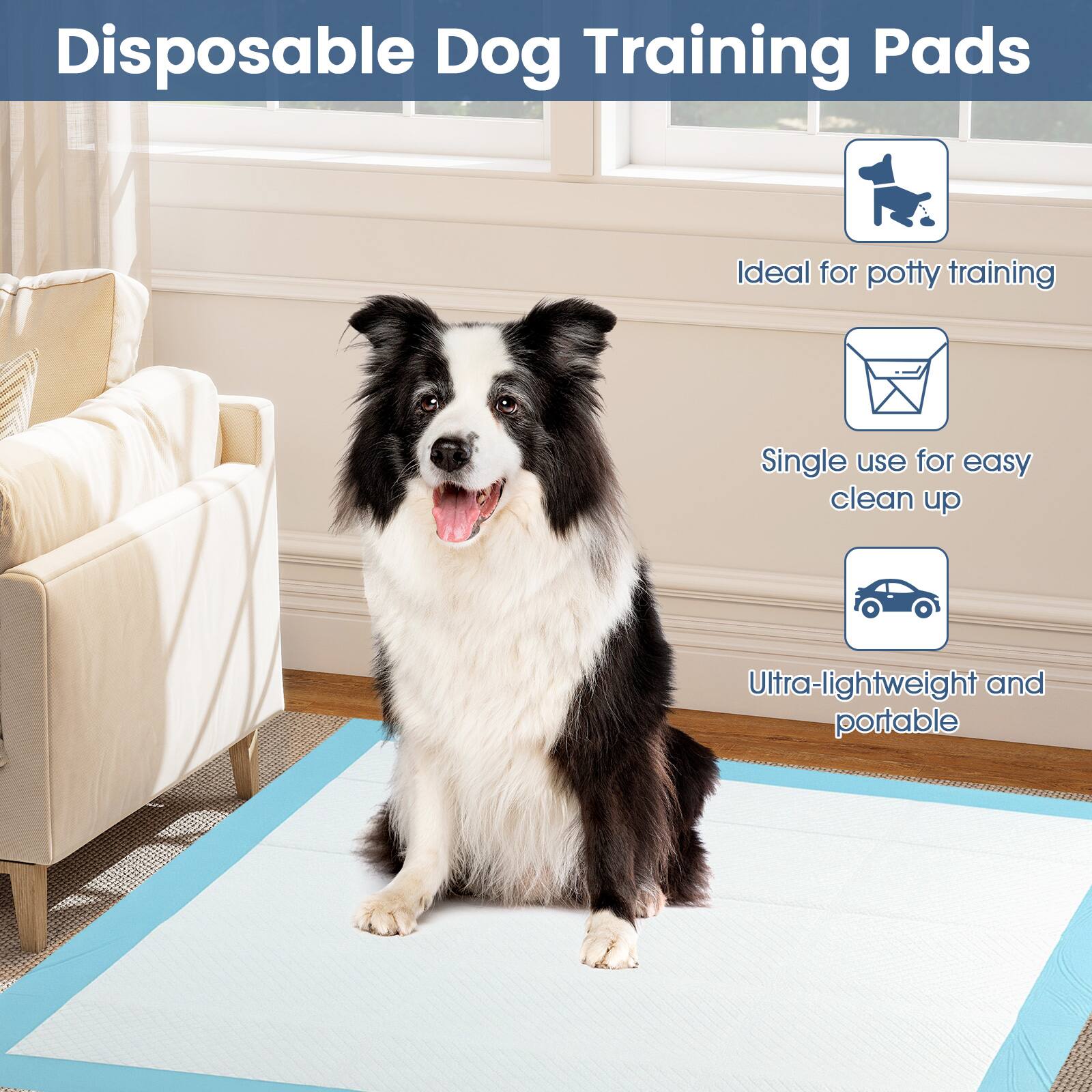 Disposable Dog Training Pads

- Ideal for potty training
- Single use for easy clean up
- Ultra-lightweight and portable