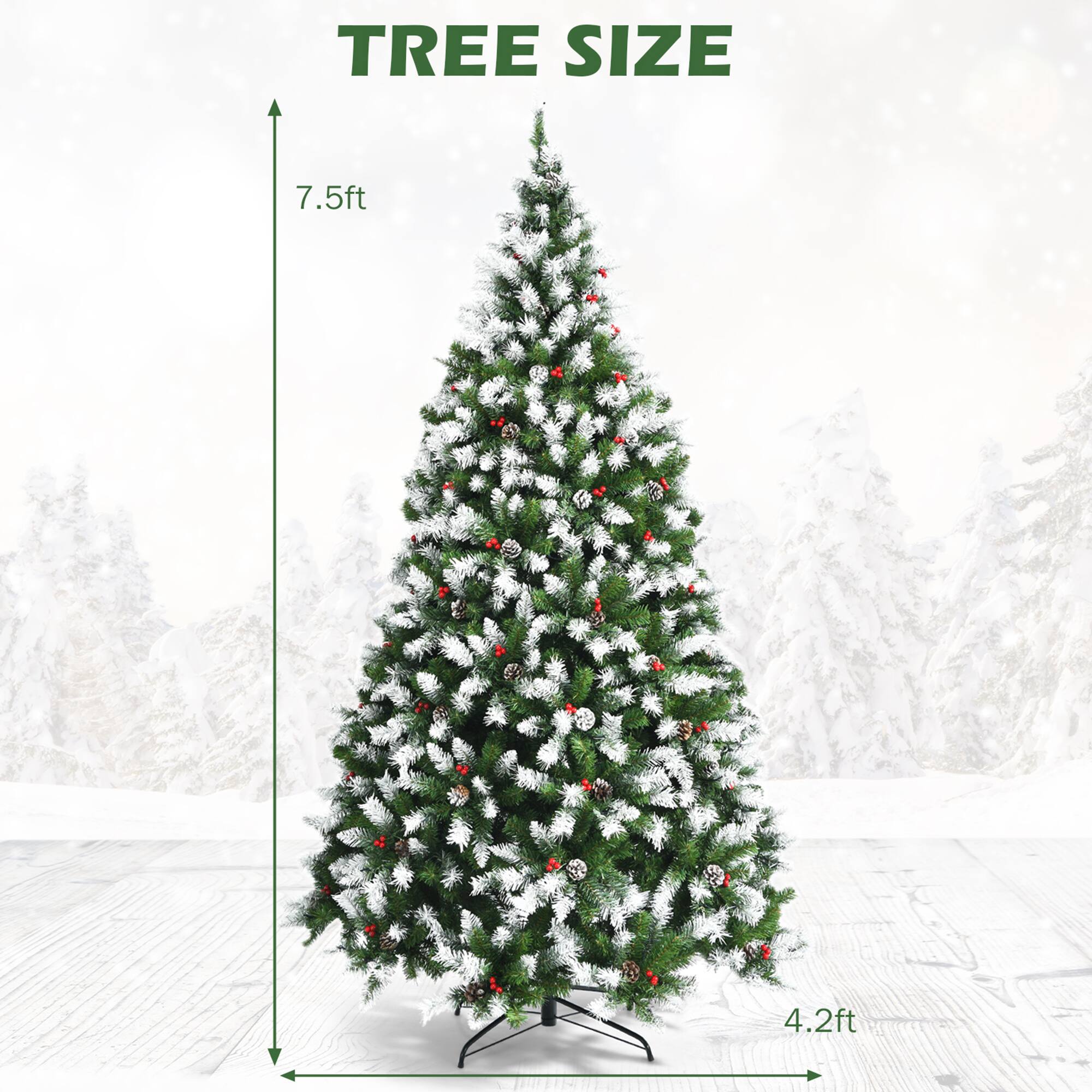 TREE SIZE

7.5ft

4.2ft