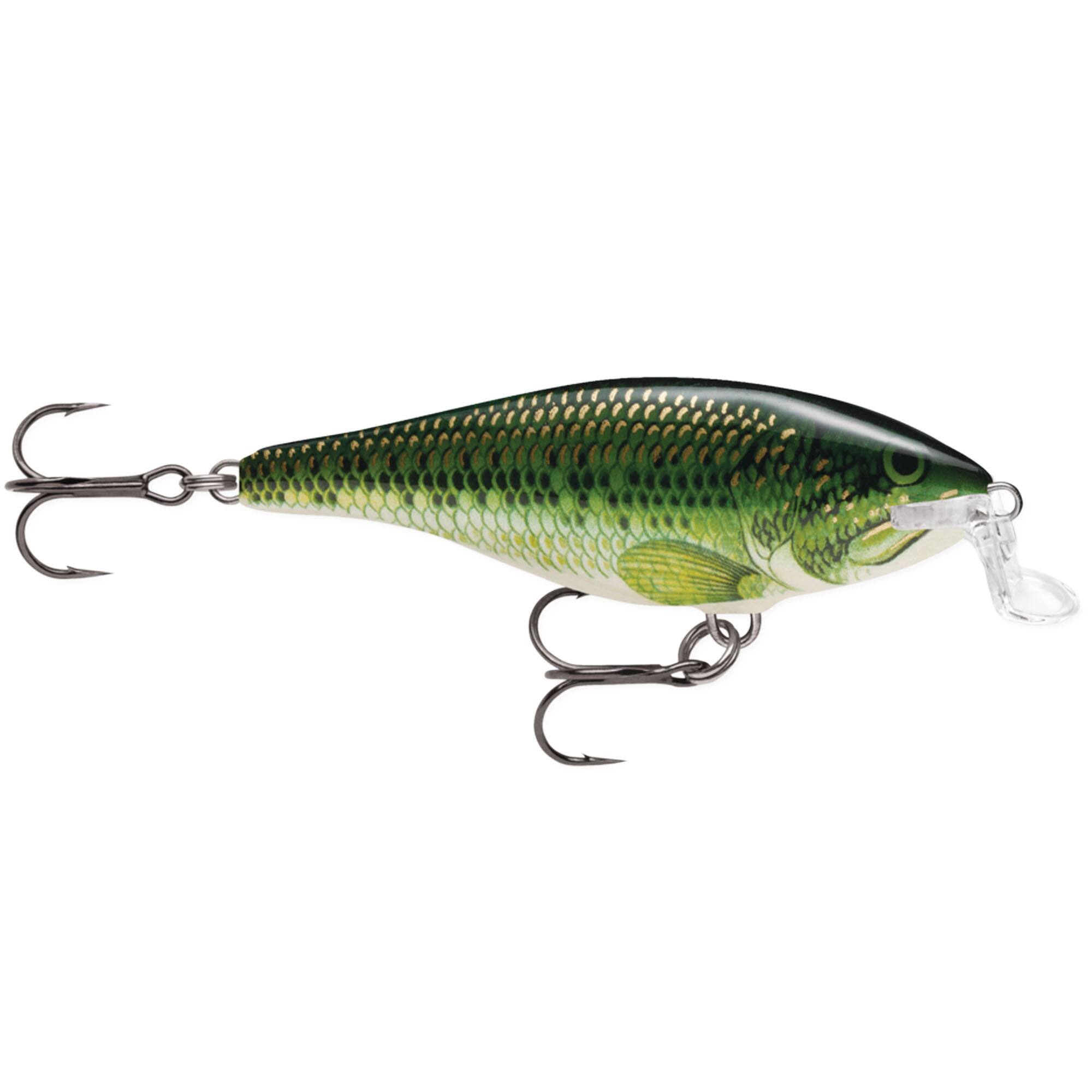 Baby Bass
