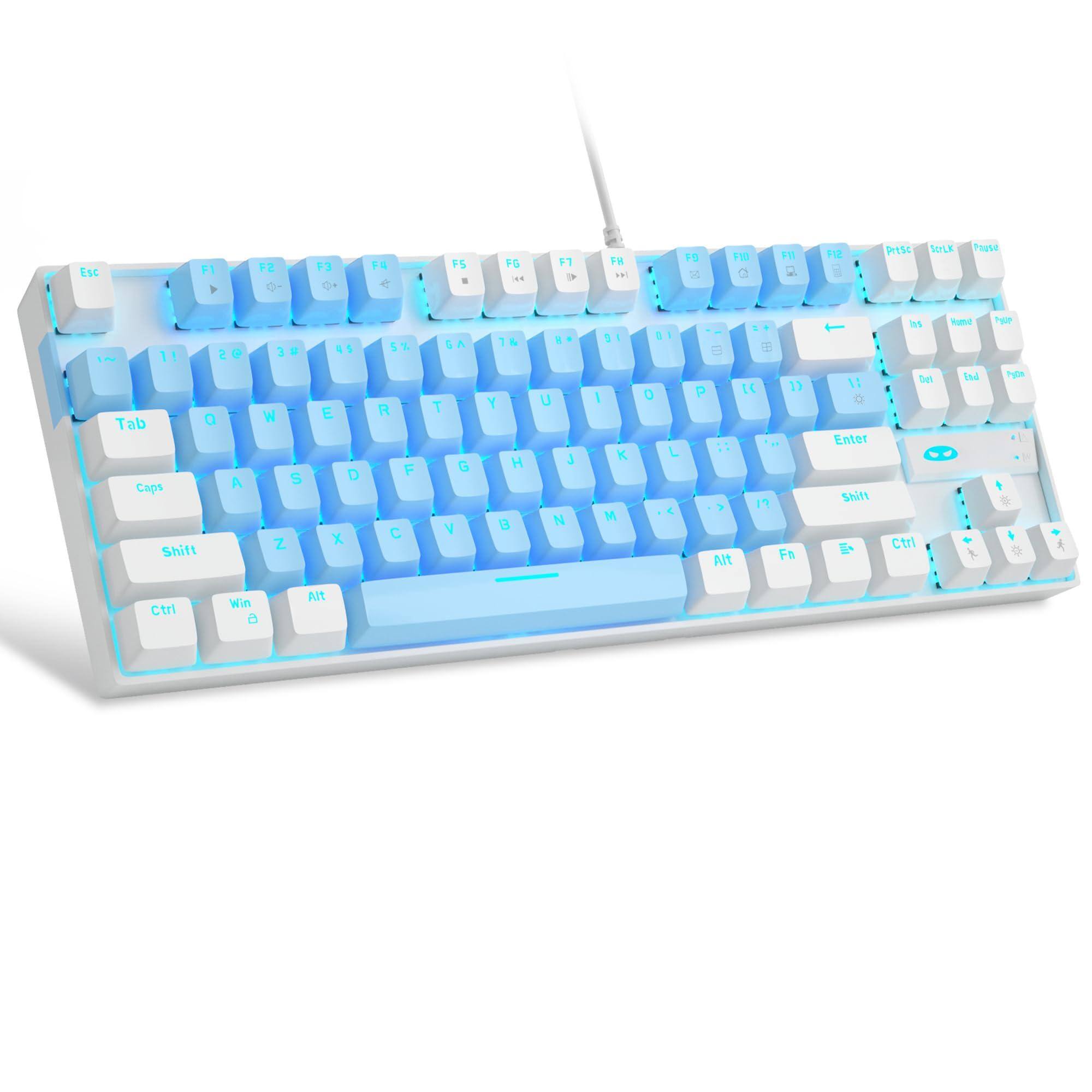 Blue White/Blue Switch