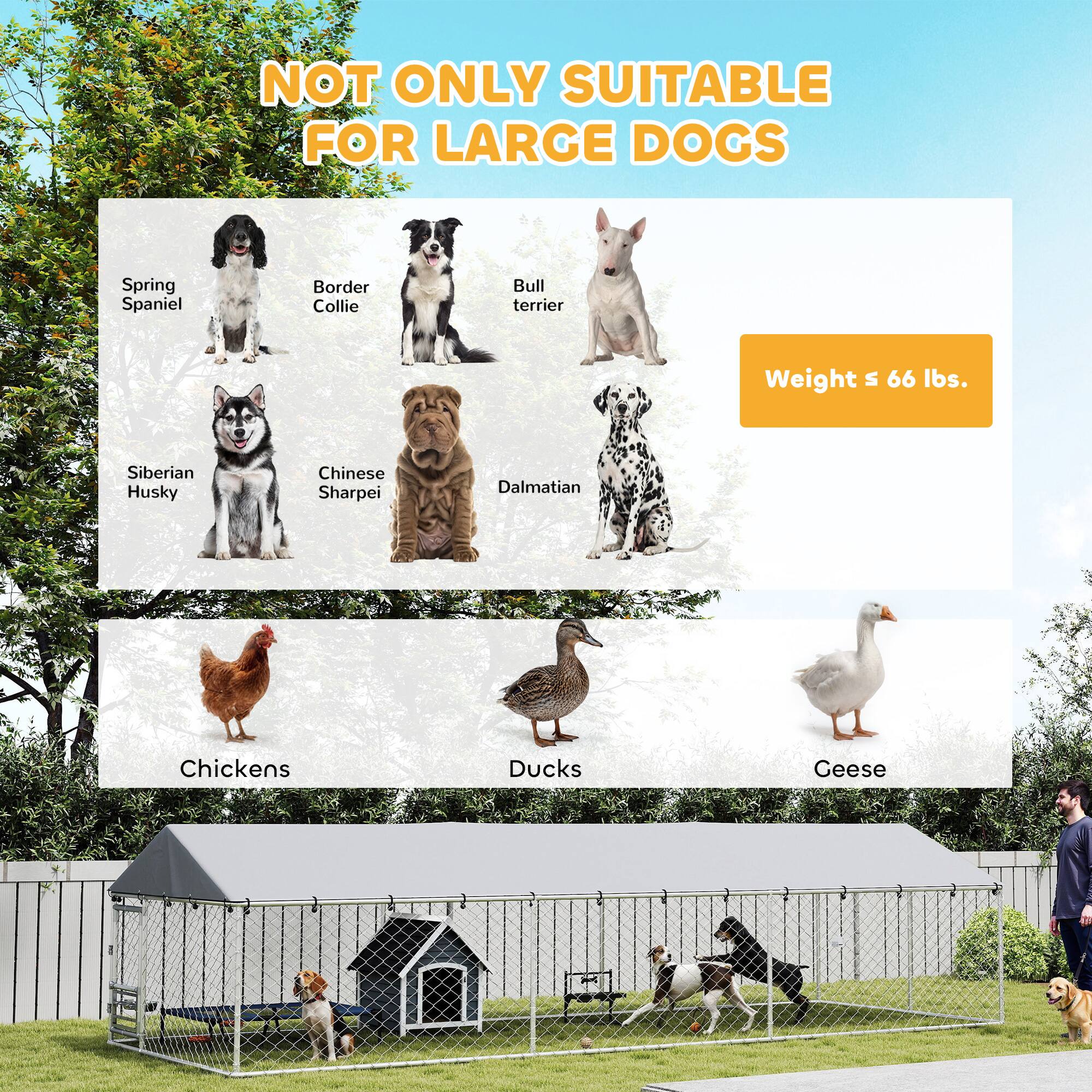 NOT ONLY SUITABLE FOR LARGE DOGS

Spring Spaniel  
Border Collie  
Bull Terrier  
Siberian Husky  
Chinese Shar Pei  
Dalmatian  

Weight ≤ 66 lbs.

Chickens  
Ducks  
Geese