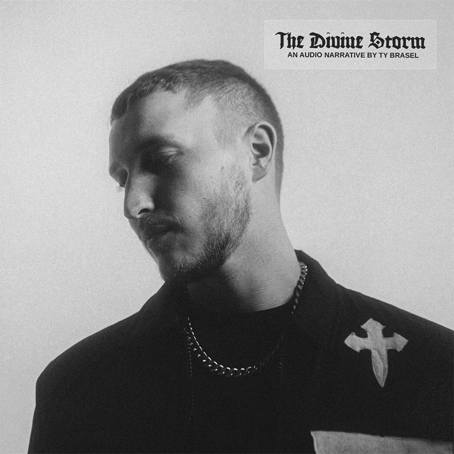Ty Brasel - The Divine Storm   - COMPACT DISCS [CD] price history on PriceWatchPro