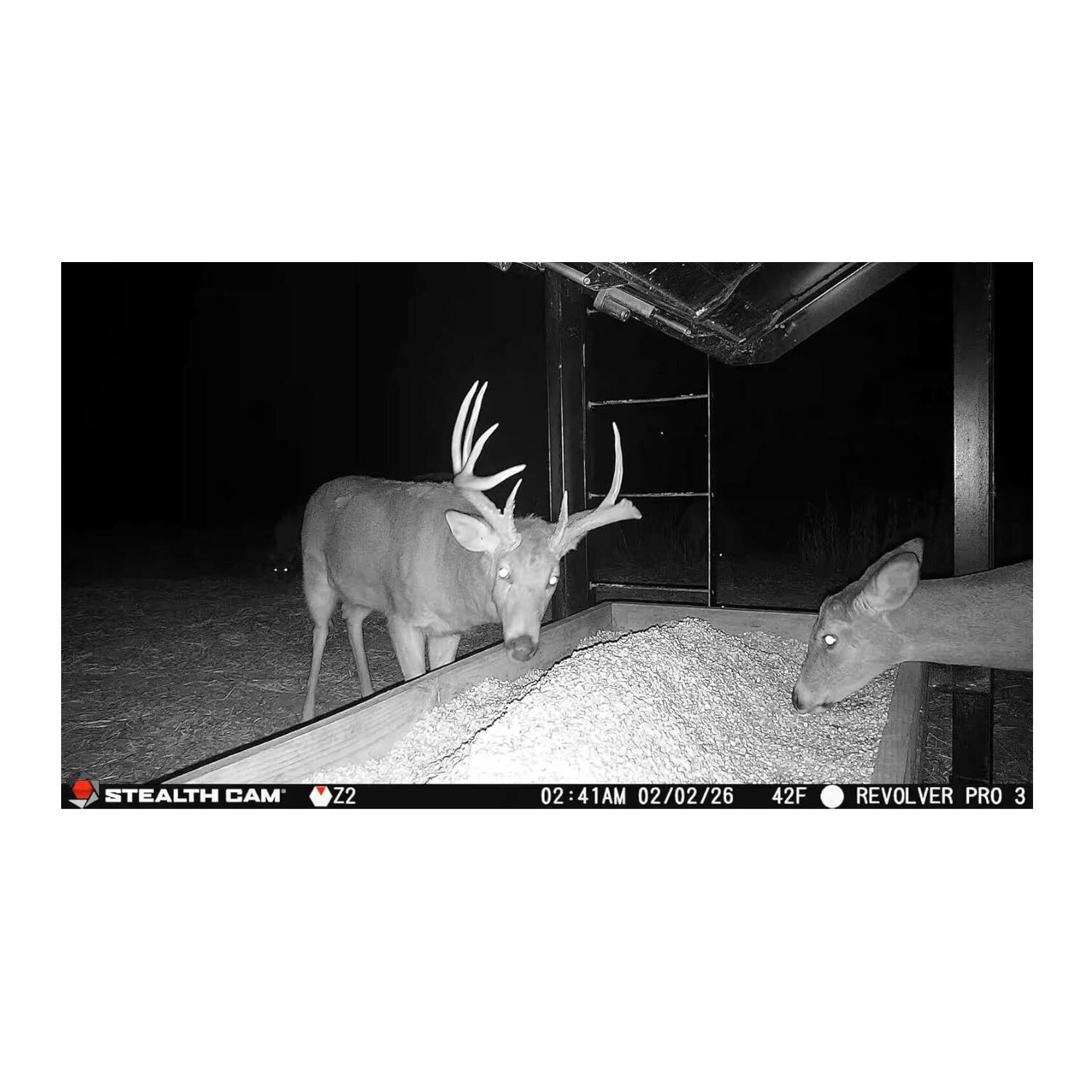 STEALTH CAM Z2  
02:41AM 02/02/26  
42F  
REVOLVER PRO 3