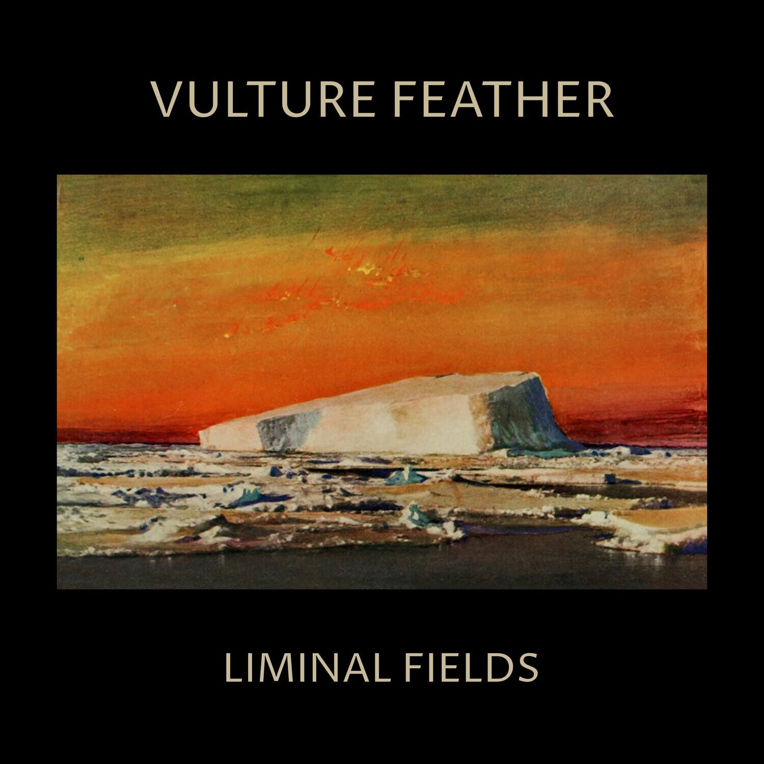 Vulture Feather - Vulture Feather - Bone   - VINYL LP