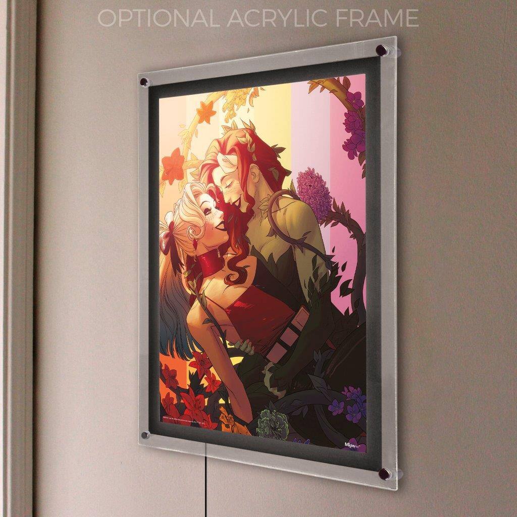 OPTIONAL ACRYLIC FRAME