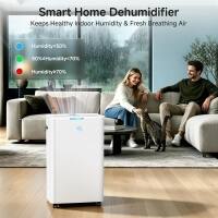 Smart Home Dehumidifier Keeps Healthy Indoor Humidity & Fresh Breathing Air

Humidity: 50%
Humidity: 70%
Humidity: 97%