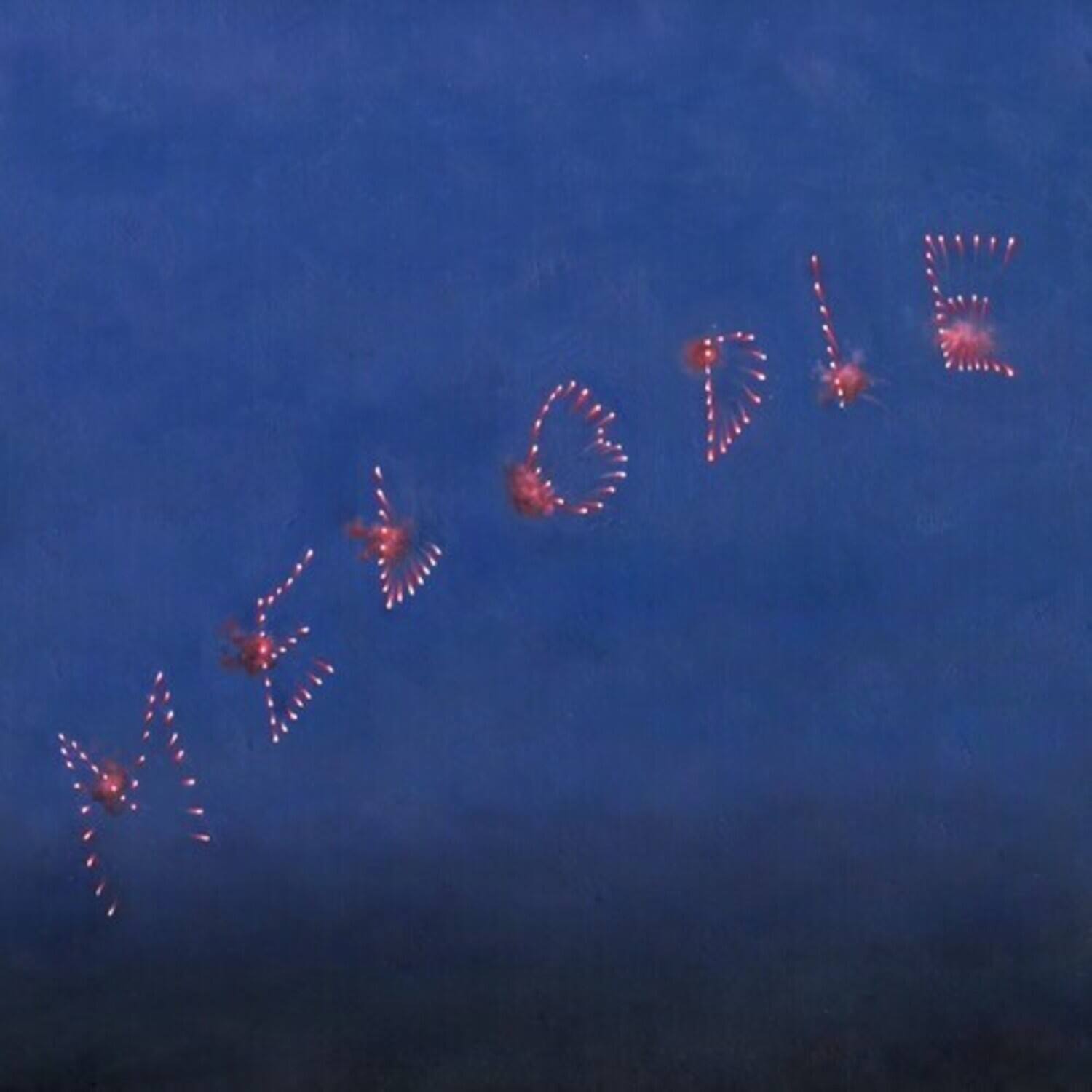 Slow Pulp Melodie VINYL LP - Best Buy