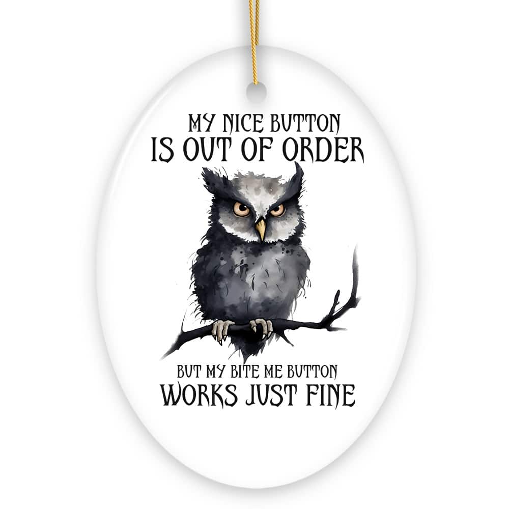 OrnamentallyYou - Nice Button Out of Order Quirky Owl Cute and Funny Christmas Gift - Multi-colored