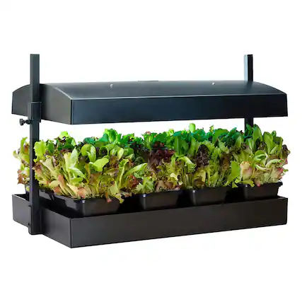 Front. SunBlaster - SunBlaster SL1600220 T5HO Grow Light Garden with 2 Strip Lights & T5 Reflectors - Black.