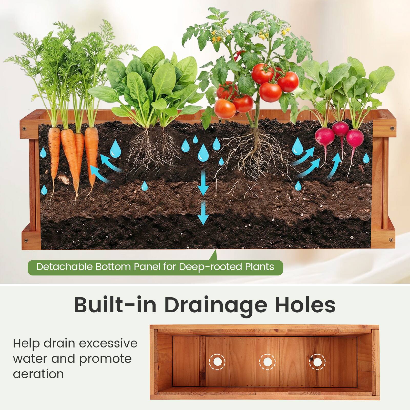 Detachable Bottom Panel for Deep-rooted Plants  
Built-in Drainage Holes  
Help drain excessive water and promote aeration