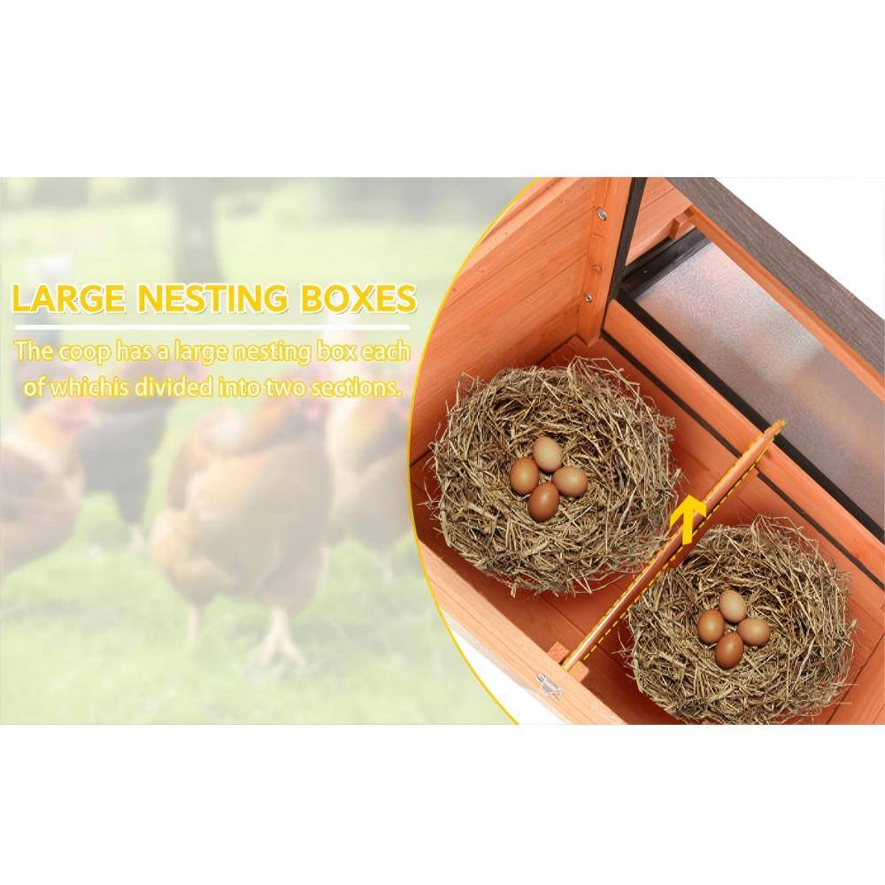 LARGE NESTING BOXES  
The coop has a large nesting box each of which is divided into two sections.
