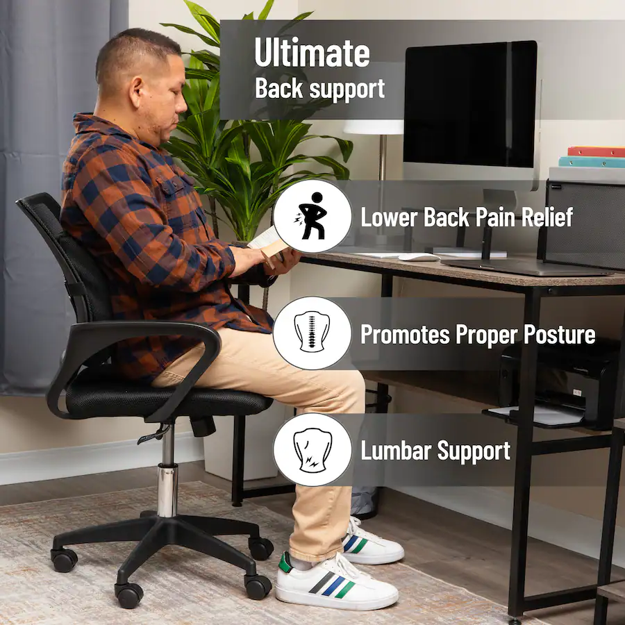 Sitting Support Mind Reader Lumbar Support Cushion, Office Chair Support, Posture ...