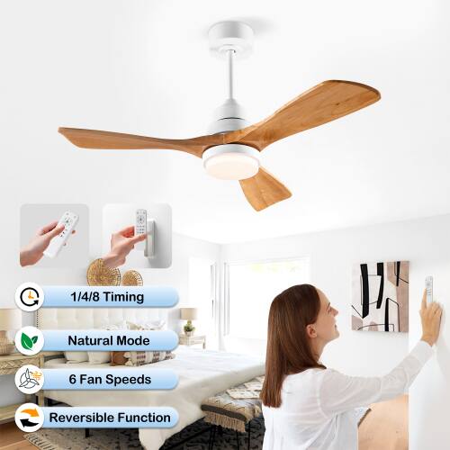 G 1/4/8 Timing Natural Mode 6 Fan Speeds Reversible Function
