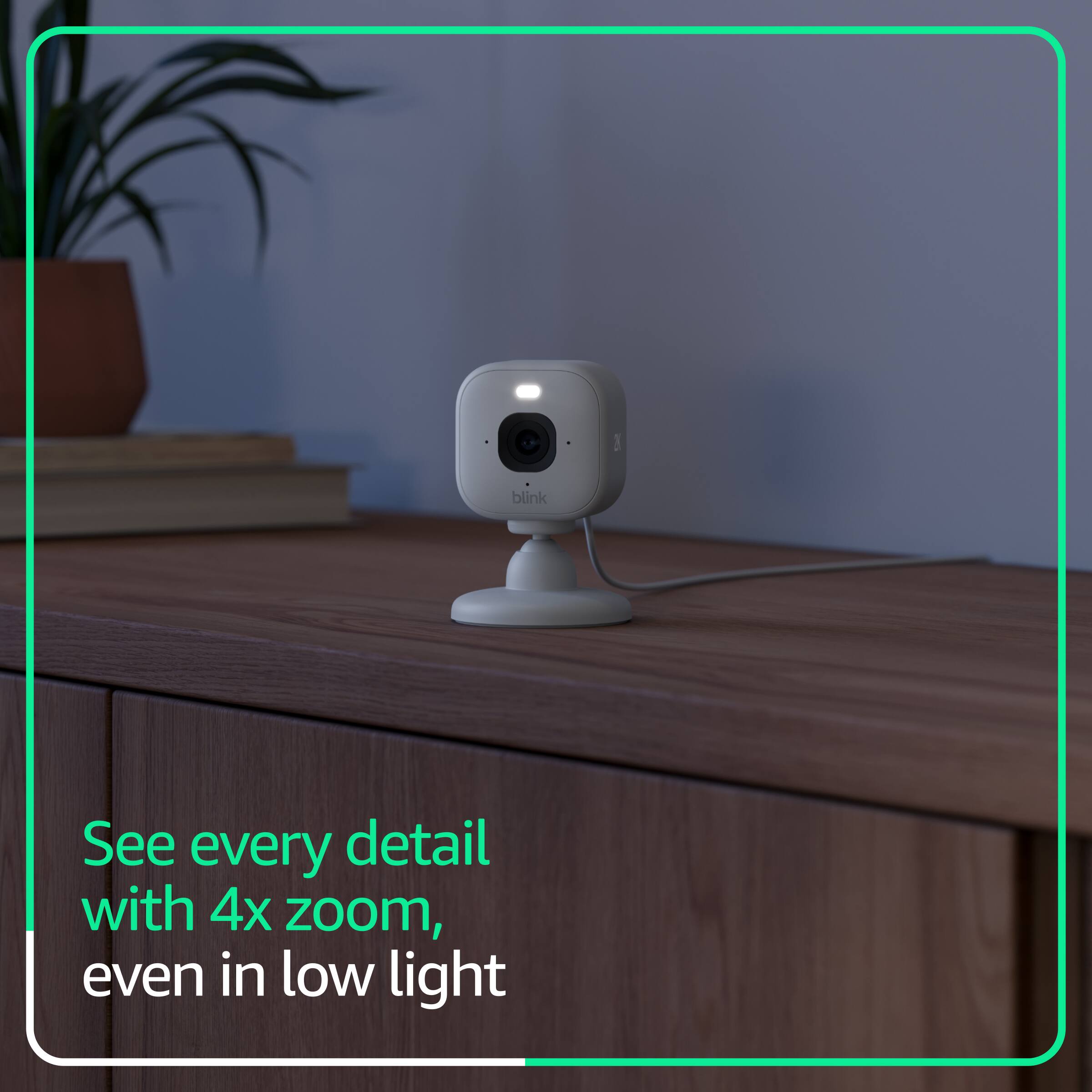 See every detail with 4x zoom, even in low light