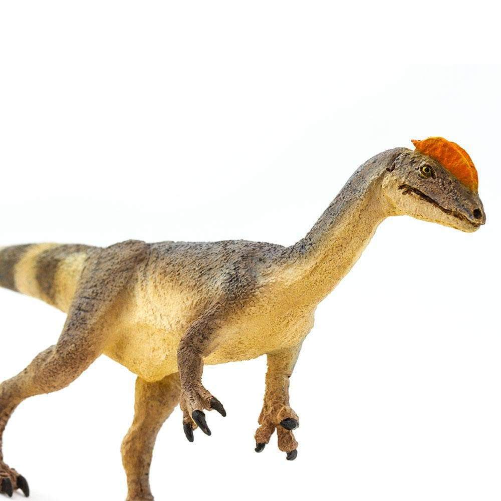 Alt View 3. Safari Ltd. - Dilophosaurus Toy Figurine.