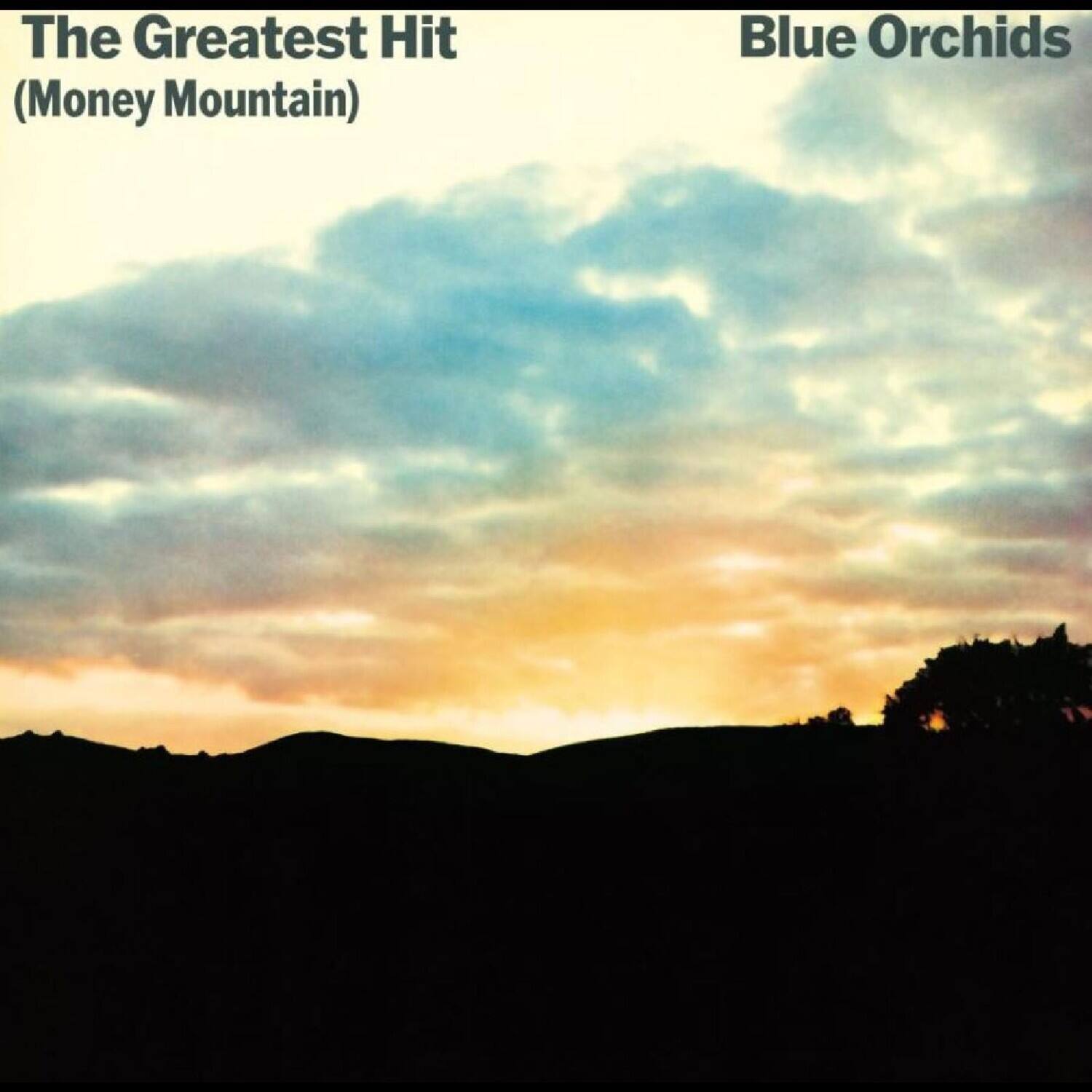 The Blue Orchids - The Greatest Hit (Money Mountain)   - COMPACT DISCS [CD] price history on PriceWatchPro