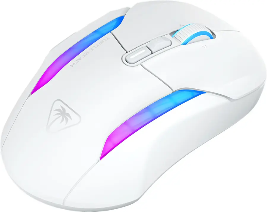 Turtle Beach