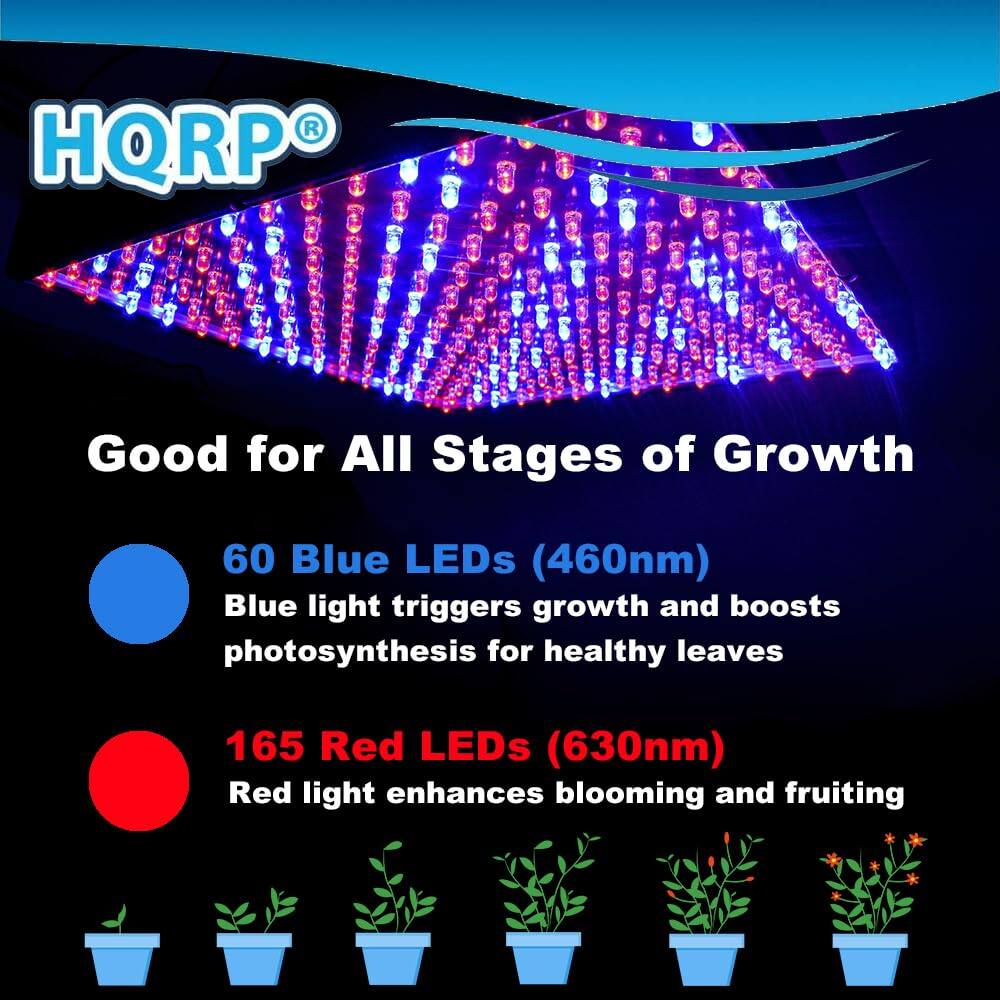 HQRP®

Good for All Stages of Growth

60 Blue LEDs (460nm)
Blue light triggers growth and boosts photosynthesis for healthy leaves

165 Red LEDs (630nm)
Red light enhances blooming and fruiting