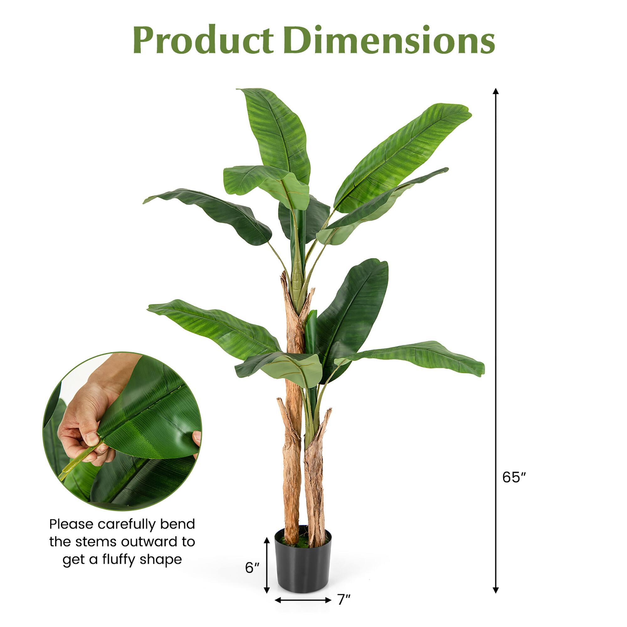 Product Dimensions

Please carefully bend the stems outward to get a fluffy shape

65"

6"

7"