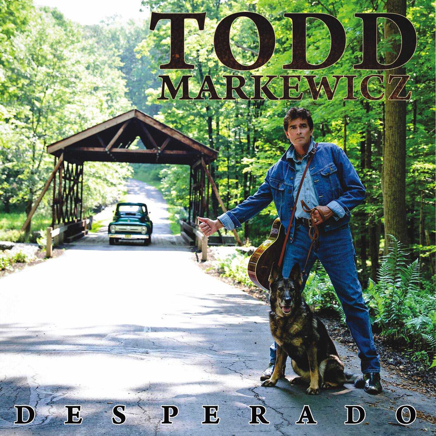 Todd Markewicz - Desperado   - VINYL LP price history on PriceWatchPro