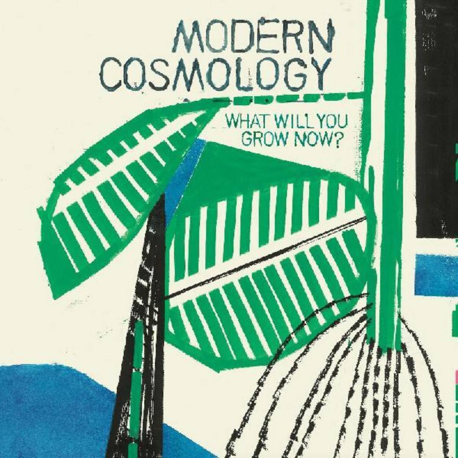 MODERN COSMOLOGY  
WHAT WILL YOU GROW NOW?
