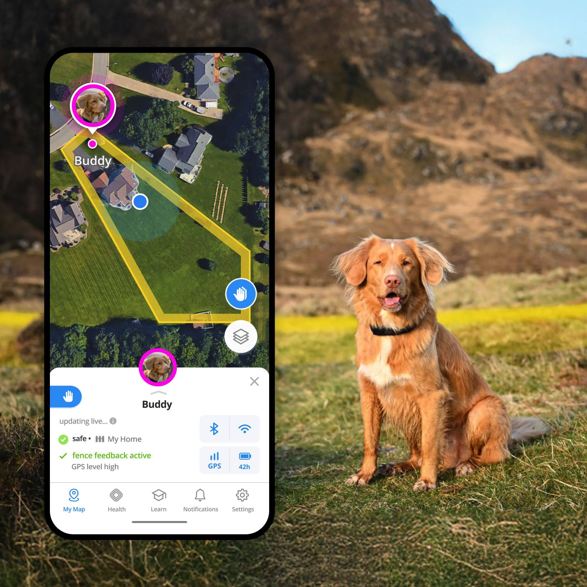 Buddy X updating live...

- Buddy safe
- My Home
- Fence feedback active
- GPS level high
- GPS 42h

My Map
Health
Learn
Notifications
Settings