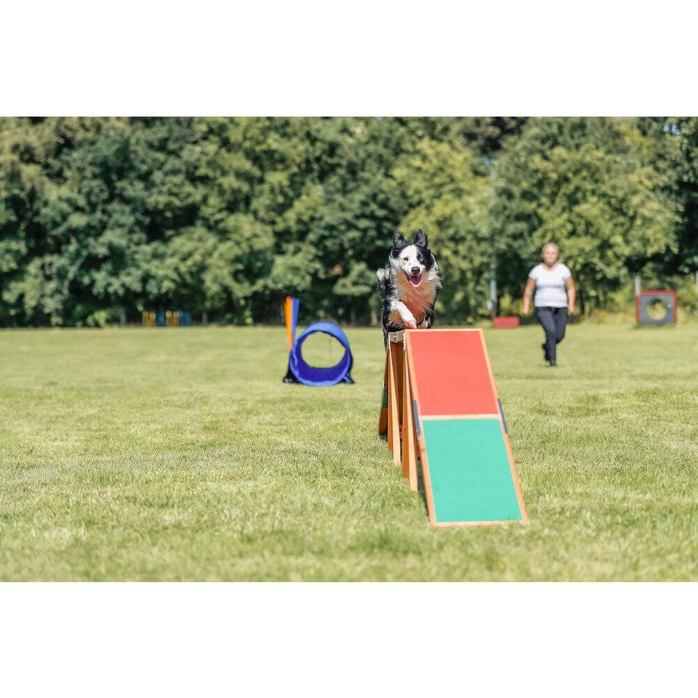 Alt View 2. TRIXIE - Dog Agility Dogwalk, Obstacle Training - Green/Red.