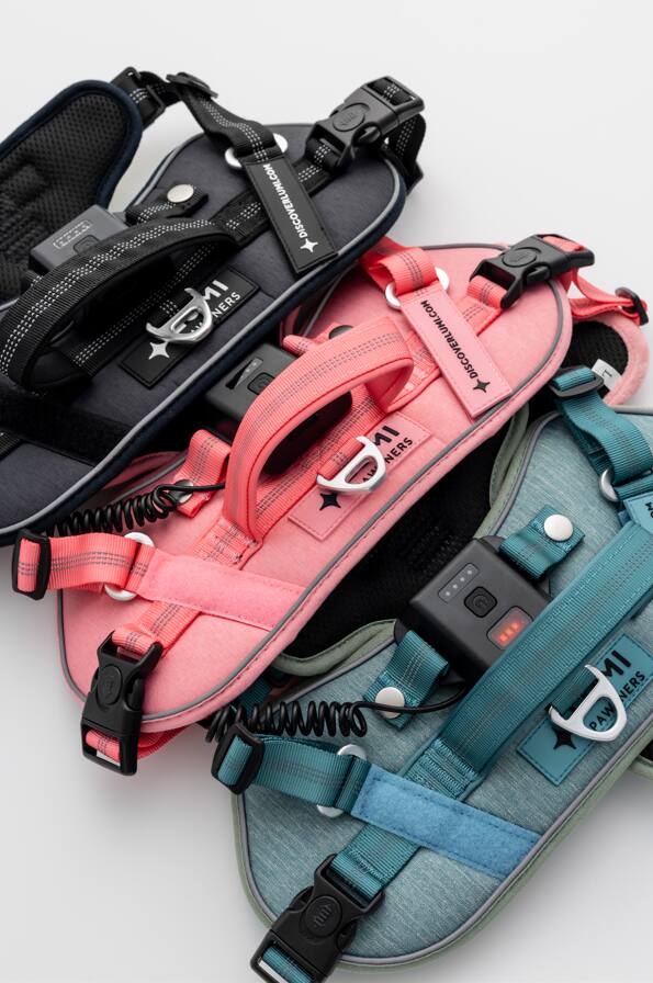 44L DISCOVERLUMI.COM MINERS DISCOVERLUMI.COM 11 NERS 5A L M i IM NERS PAW