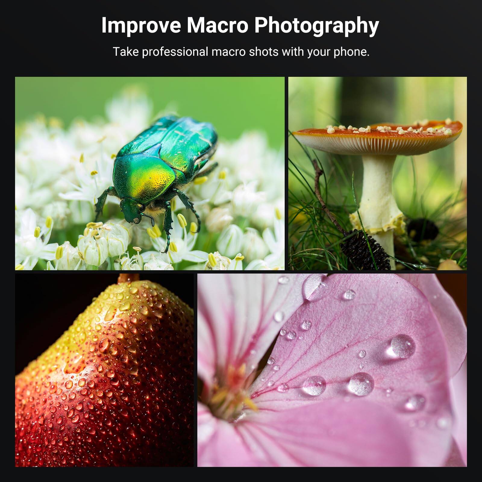 Improve Macro Photography  
Take professional macro shots with your phone.