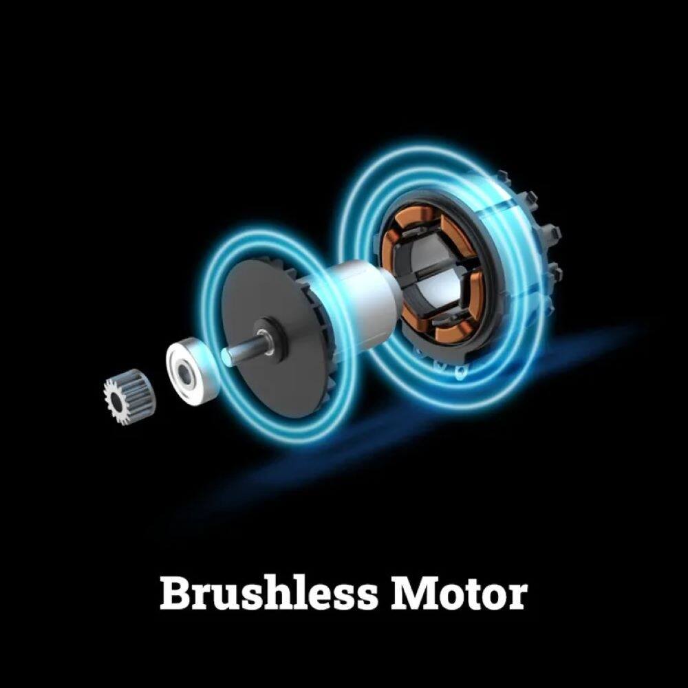 Brushless Motor