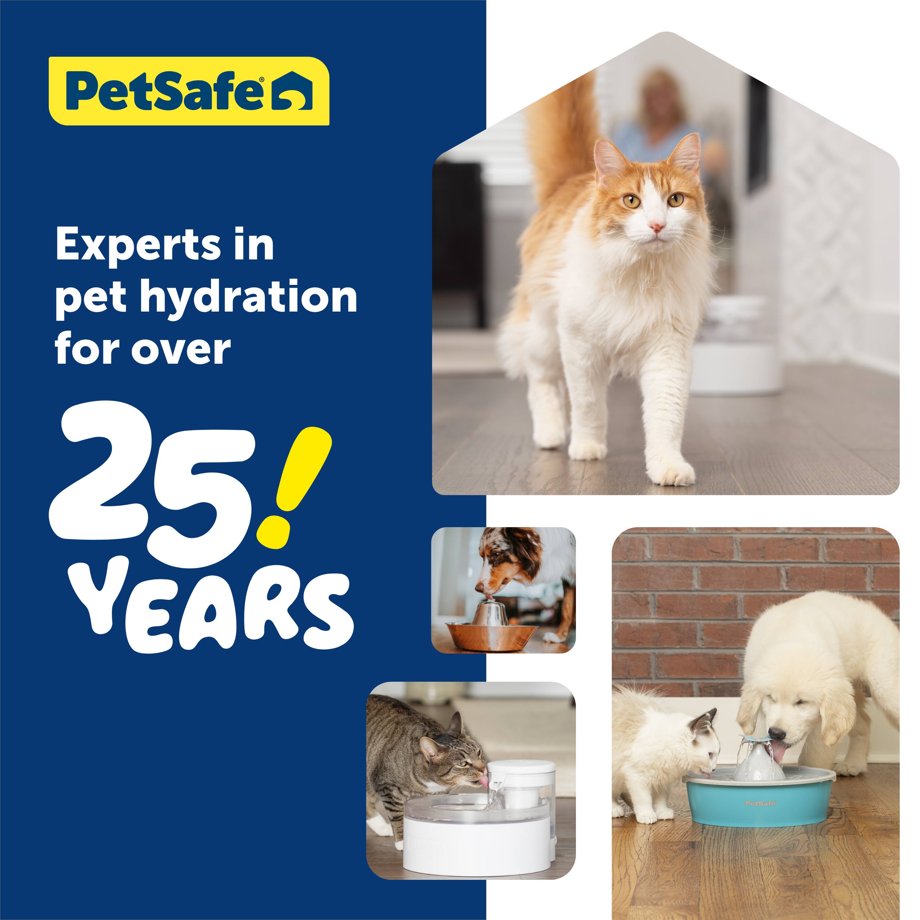 PetSafe Experts in pet hydration for over 25 YEARS.