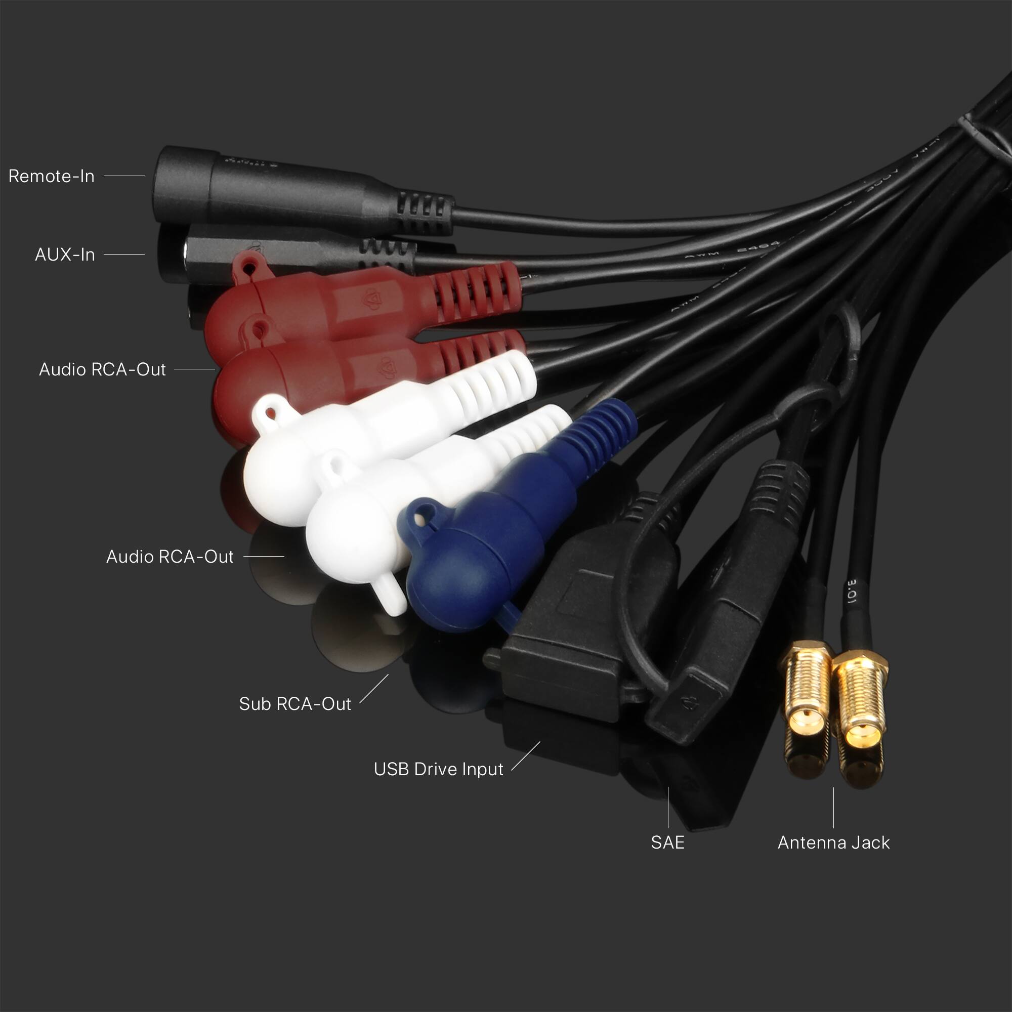 Remote-In  
AUX-In  
Audio RCA-Out  
Audio RCA-Out  
Sub RCA-Out  
USB Drive Input  
SAE  
Antenna Jack