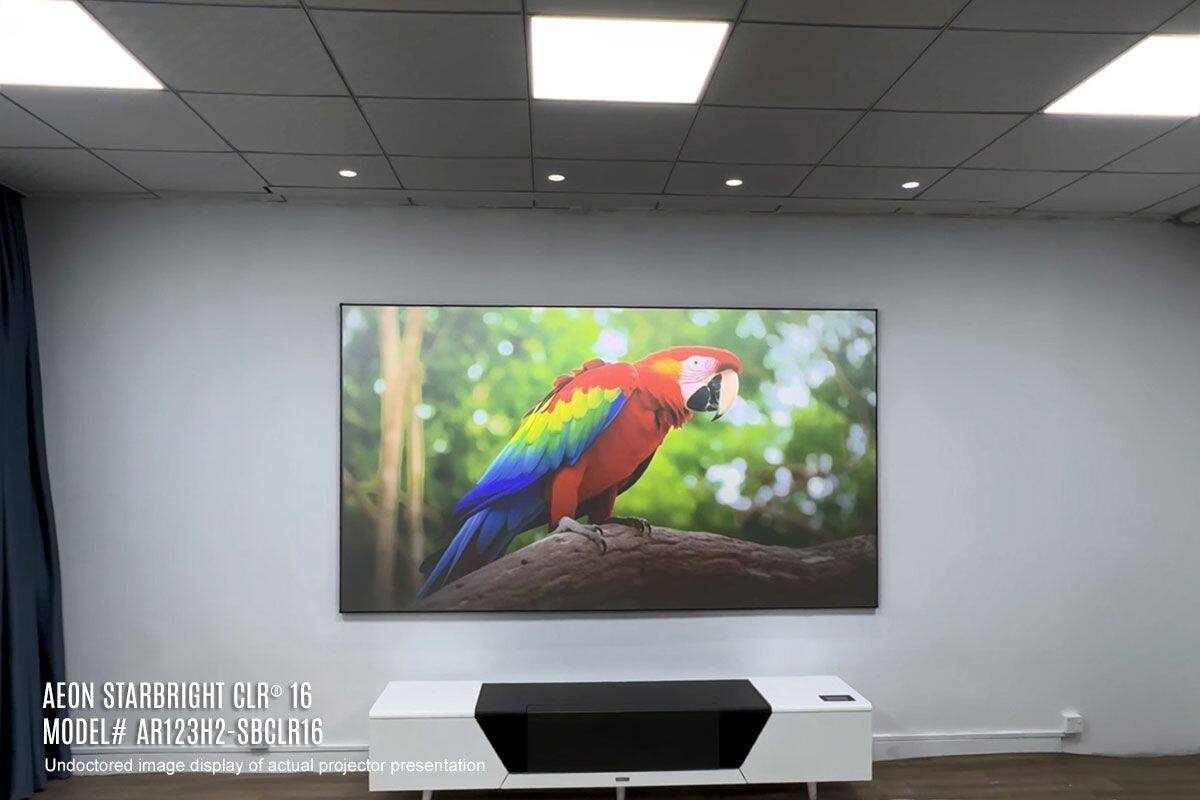 AEON STARBRIGHT CLR® 16  
MODEL# AR123H2-SBCLR16  
Undoctored image display of actual projector presentation