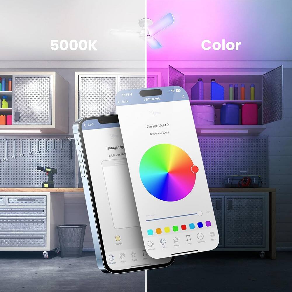 5000K Color

Back FEIT Electric

Garage Light 2
Brightness 100%

Garage Light 1
Brightness 100%

Saturation 100%