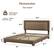 Dimension
Size: Queen
Weight Capacity: Max to 800lbs
Mattress: 8-14"
Dimensions:
- 61.8" (Width)
- 79.9" (Length)
- 22.4" (Headboard Height)
- 44.9" (Headboard Depth)
- 10.2" (Footboard Height)
- 81.7" (Overall Length)
- 60" (Footboard Width)