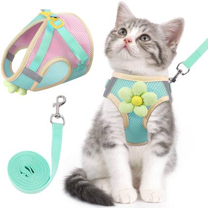 Front. Paradigms Interiors - Cat Harness And Leash Set For Walking Escape Proof Kitten Breathable Mesh With Reflective Strips Flower Puppy - Turquoise green-Extra Small.