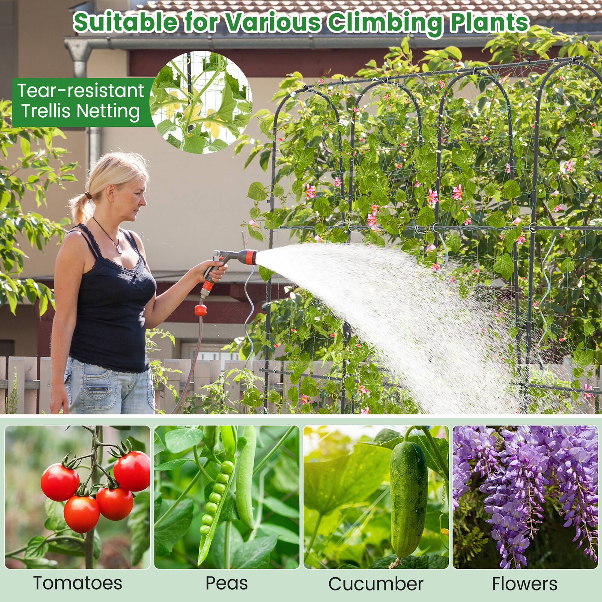 Suitable for Various Climbing Plants

Tear-resistant Trellis Netting

Tomatoes  
Peas  
Cucumber  
Flowers